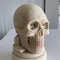 B.P.Issit - Sculpture and Props